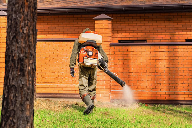 Trusted Ant Control service in Lakehurst, NJ - Nex Pest Control